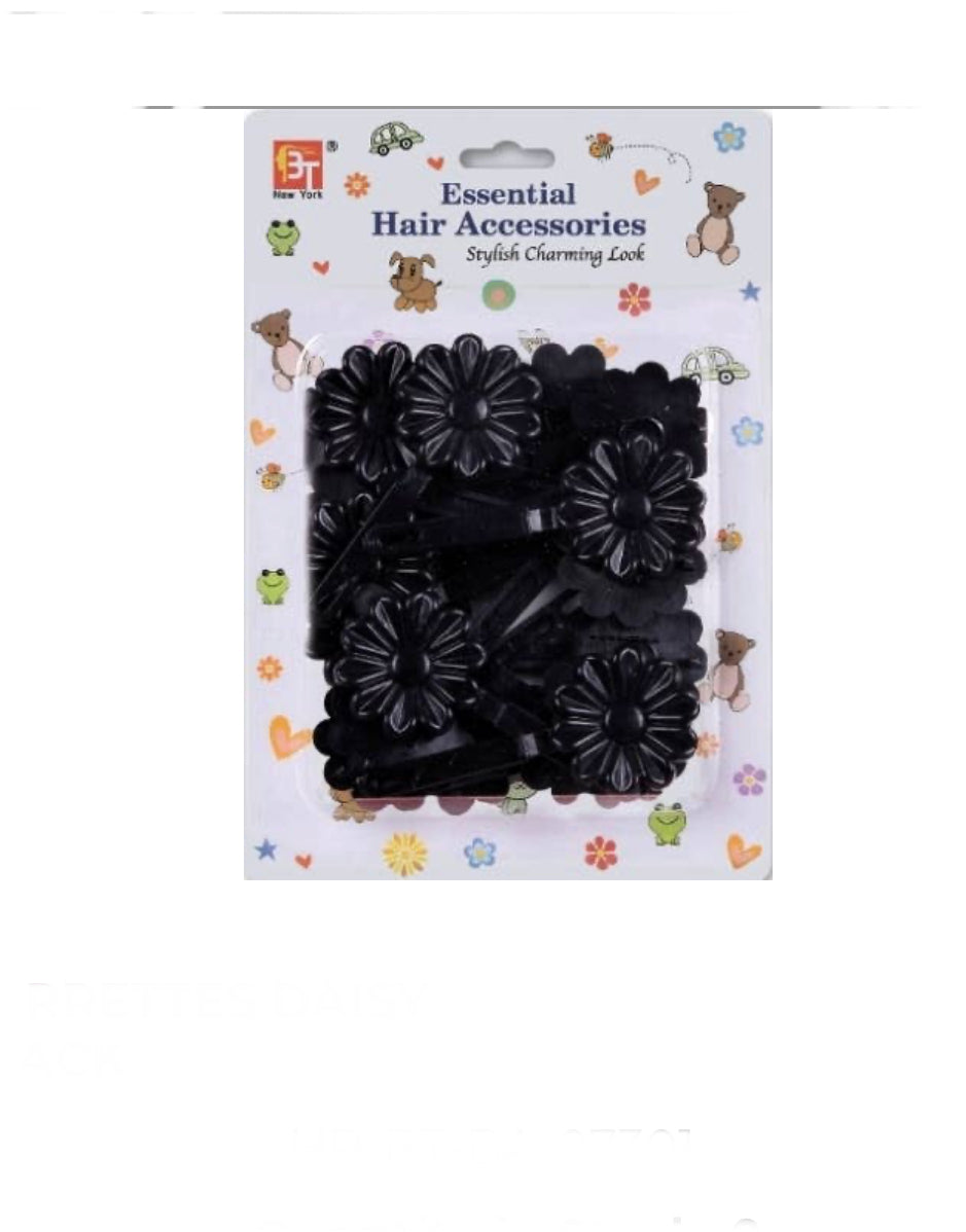 Beauty Town Barrettes